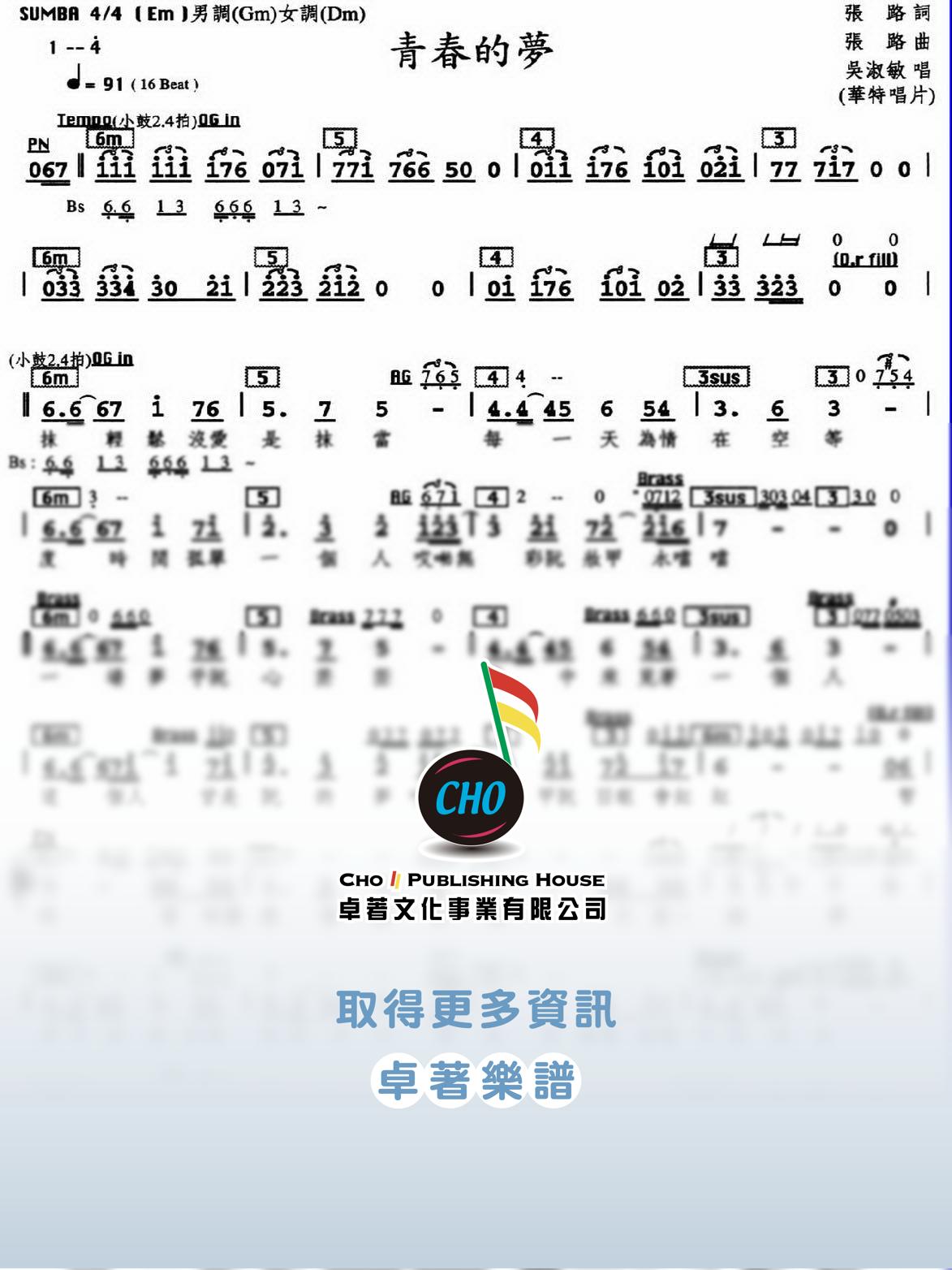 青春的夢
